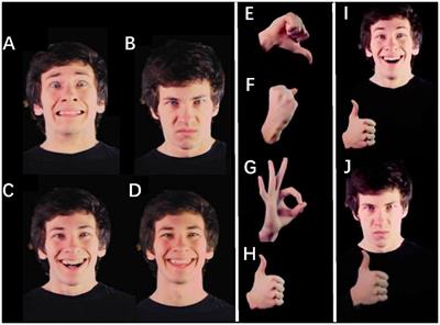Incongruent gestures slow the processing of facial expressions in university students with social anxiety